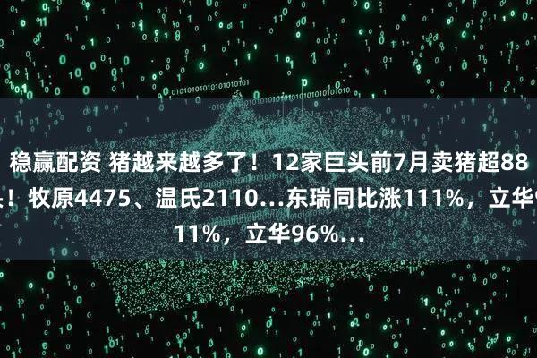 稳赢配资 猪越来越多了！12家巨头前7月卖猪超8800万头！牧原4475、温氏2110…东瑞同比涨111%，立华96%…